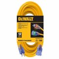 Century Wire & Cable 50' 123 Ext Cord DXEC17443050